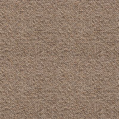 Brown Plain Wool Carpet For Home & (All Rooms), 4mm Wide Plain Action Backed Carpet with 7 Year Warranty