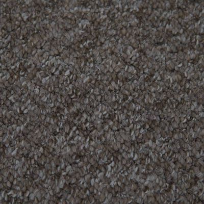 Alabama 964 Walnut Easyback Polypropylene Carpet