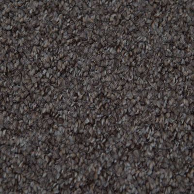 Alabama 994 Beach Heavy Domestic Heavy Domestic Carpet
