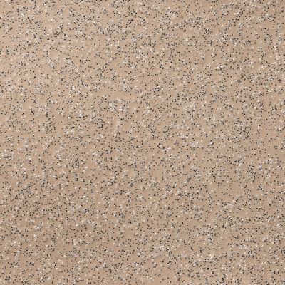 Contract Altro Stronghold Biscuit K30907 Speckled Effect Beige Anti-Slip Commercial Vinyl Flooring Sheet With 3.0mm Thickness