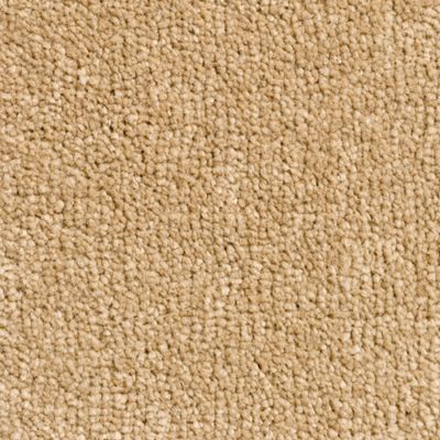Canterbury 09 Honey Dark Beige Carpet
