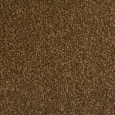 Canterbury 14 Peanut Butter Dark Beige Carpet