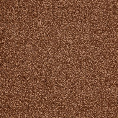 Honey Modern Plain Carpet For Home & (All Rooms), 6mm Pile Impervious Backed Carpet with 10 Year Warranty