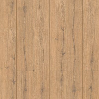 Stepclick Classic Plus KT503 Bozyazi Wood Effect Click Laminate Flooring - Plank(8mm) For Home (All Rooms)& Contract Commercial Use