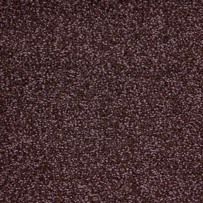 Purple Plain Carpet For Home & (All Rooms), 6mm Pile Impervious Backed Carpet with 10 Year Warranty